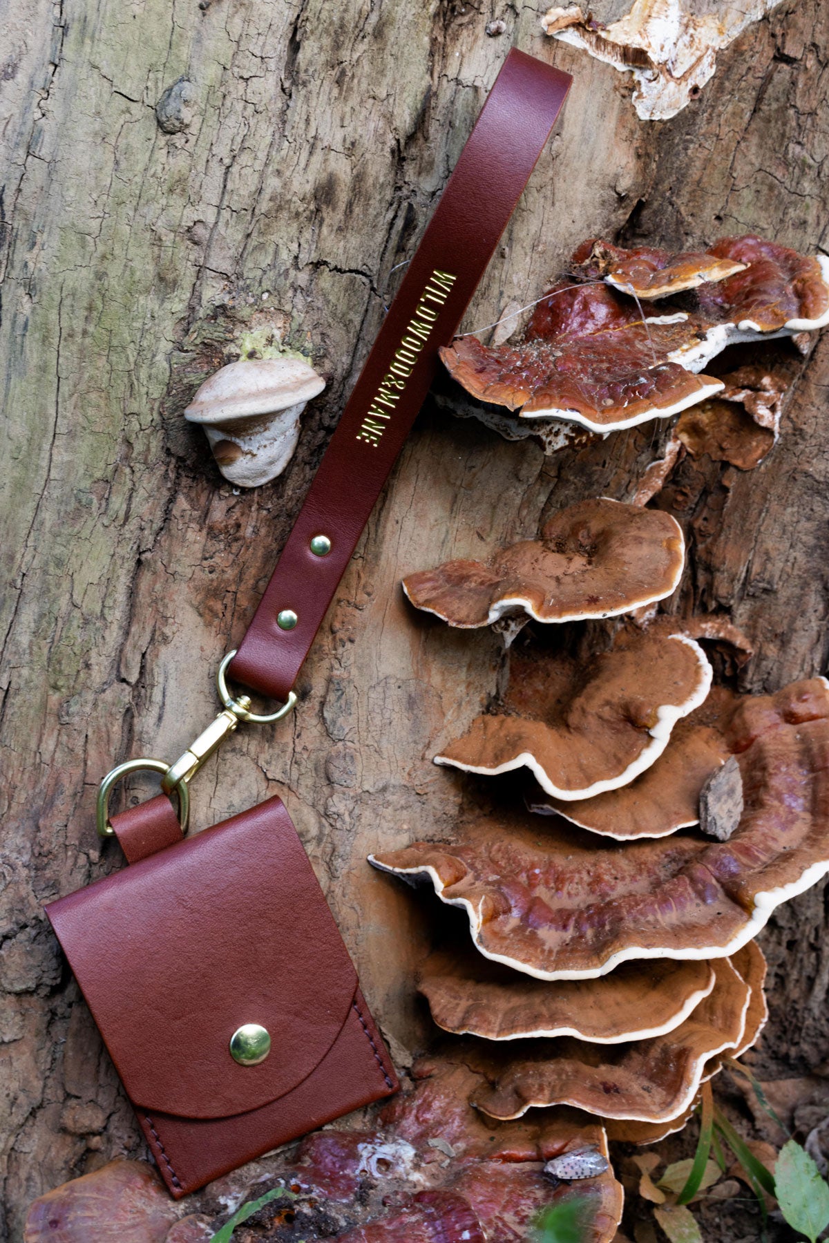 Brown leather wallet with wrist strap on a tree stump with mushrooms
