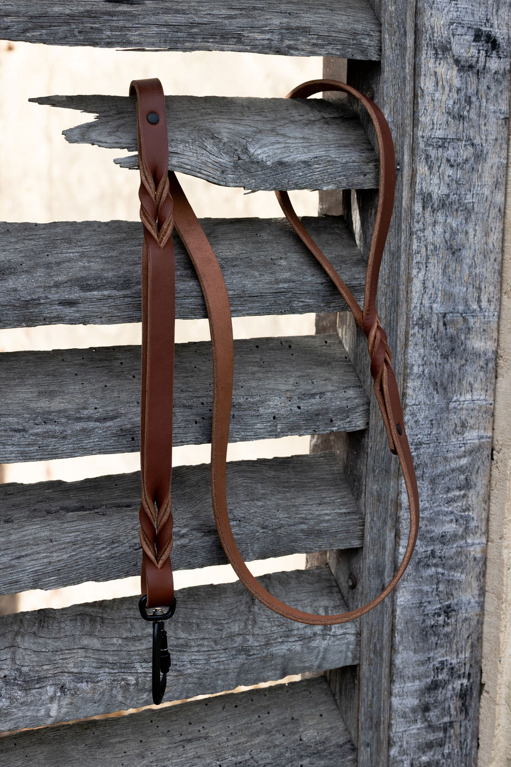 "The Kaiju" Dog Leash