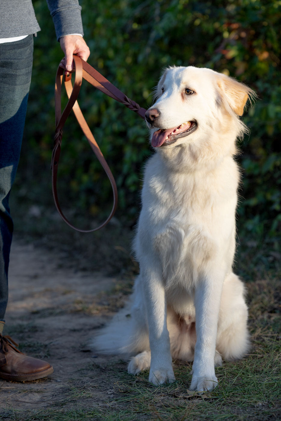 "The Kaiju" Dog Leash